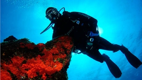 Σφουγγαρας