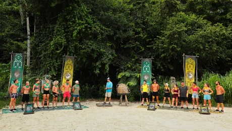 Survivor: Πράσινοι και Κίτρινοι