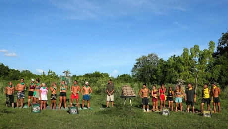 Survivor: Πράσινοι και Κίτρινοι