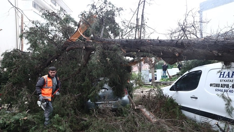 Πτώση δέντρων στη Θεσσαλονίκη