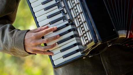 ακορντεον