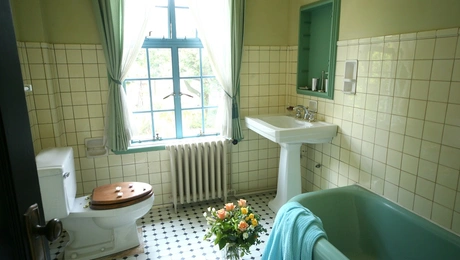 Ρετρό - Αβοκάντο μπάνιο 