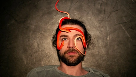 Από την παράσταση «Δαγκώνει;»