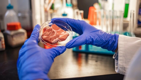 εργαστηριο κρεας