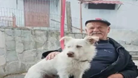 Σκύλος στη Φλώρινα