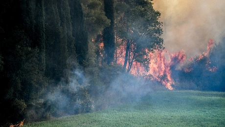 φωτια γερακι