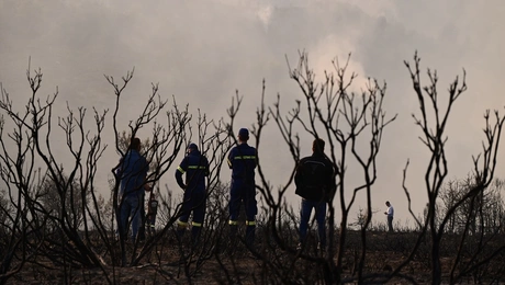 φωτιά Κορινθία