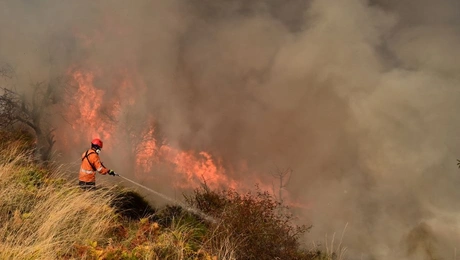 Φωτιά στην Κορινθία