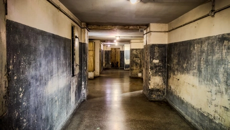 Κομαντατούρ