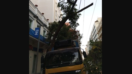 Νταλίκα και δέντρο στην Πατησίων