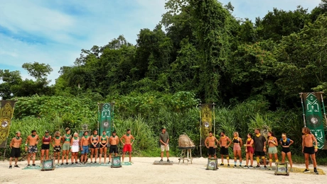 Survivor: Πράσινοι και Κίτρινοι