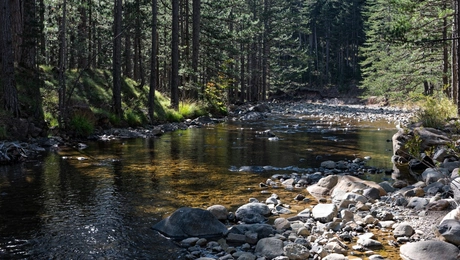 Βάλια Κάλντα