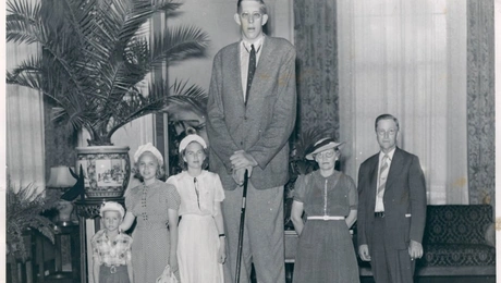 Ρόμπερτ Γουάντλοου