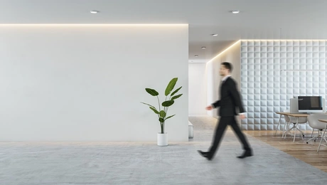 Posa xrimata pairnoun oi CEO