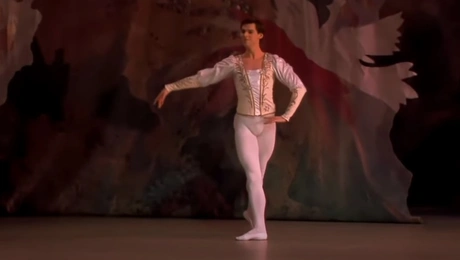 Νεκρός ο κορυφαίος Ρώσος χορευτής Βλαντιμίρ Σκλιάροφ