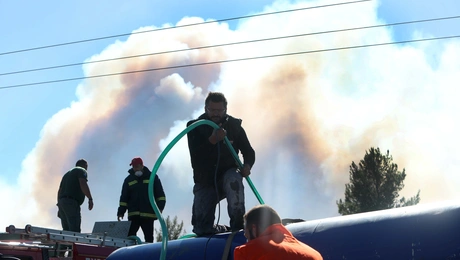 Φωτιά στη Χαλκιδική