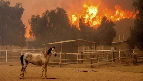 φωτιά Καλιφόρνια