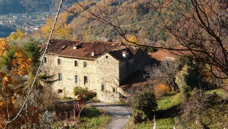 prato-di-alebbio