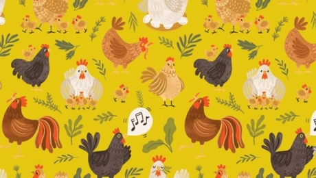 Τεστ παρατηρητικότητας: Μόνοι όσοι έχουν υψηλό IQ βρίσκουν την απάντηση σε δευτερόλεπτα