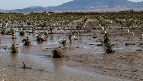 Καταστροφές στο Θεσσαλικό κάμπο μετά από πλημμύρες