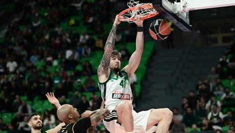 Panathinaikos basket