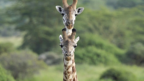 Φωτογραφίες χρονιάς