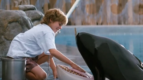 Ελευθερώστε τον Γουίλι