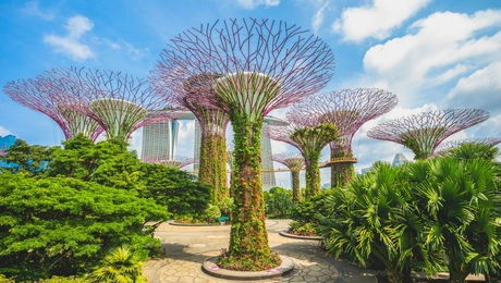 Σιγκαπούρη