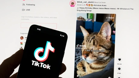 Το TikTok