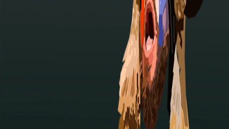 Σκίτσο Αρκά για Τραμπ