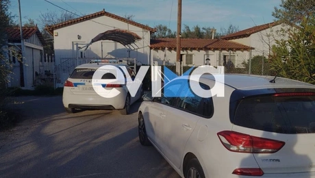 ευβοια νεκροι