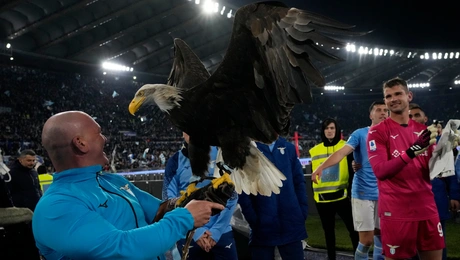 Ο εκπαιδευτής του γερακιού στη Λάτσιο