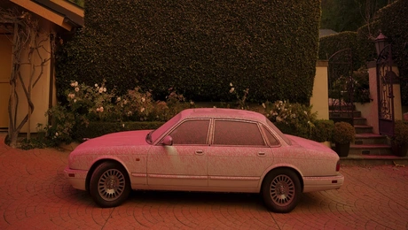 ροζ σκόνη Λος Άντζελες