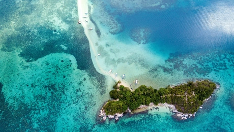 Νησί των Φιδιών 