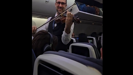 αεροσυνοδός βιολί