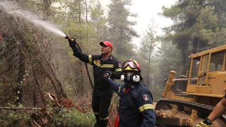 Φωτιά στην Εύβοια