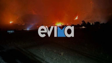 φωτιά Κάρυστος