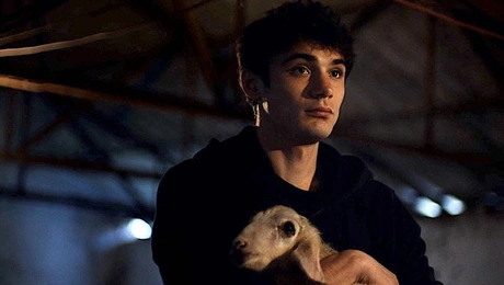 ΤΑΙΝΙΑ ΚΡΕΑΣ