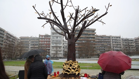Αποκαλυπτήρια του «Δέντρου της Μνήμης»