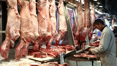 Αρνιά για το Πάσχα