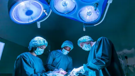 Στιγμιότυπο από μεταμόσχευση οργάνων