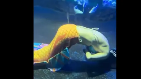 Γοργόνα έχασε τις αισθήσεις της σε παράσταση στην Κίνα