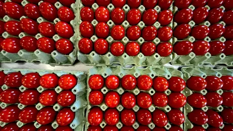 Αυγά το Πάσχα