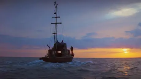 Σκηνή από την ταινία Τα Σαγόνια του Καρχαρία