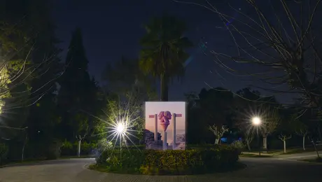 Andreas Wannerstedt «Focus!»