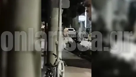 Γυμνός Λάρισα