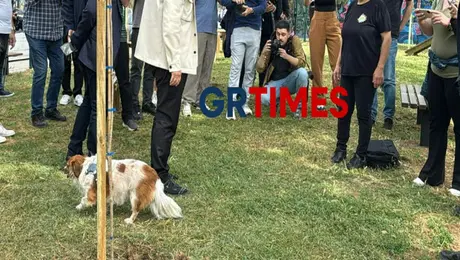 πάρκο σκύλων Θεσσαλονίκη
