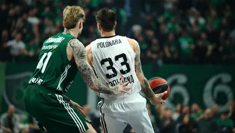 Ακίλε Πολονάρα