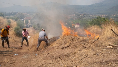 Φωτιά Σμύρνη