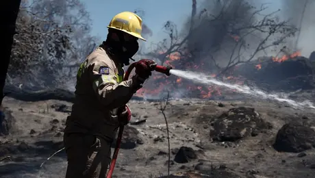 Φωτιά στην Ανάβυσσο